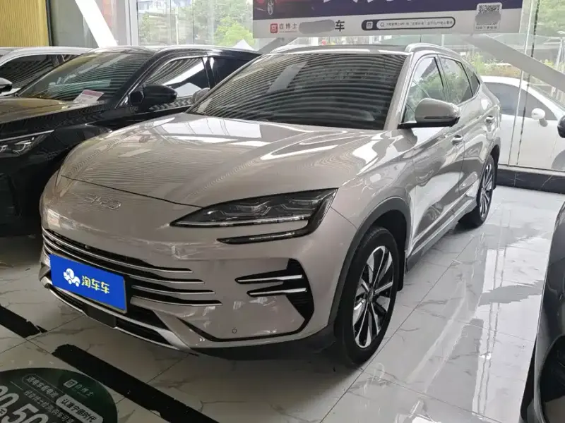 BYD PLUS New Energy, 2024