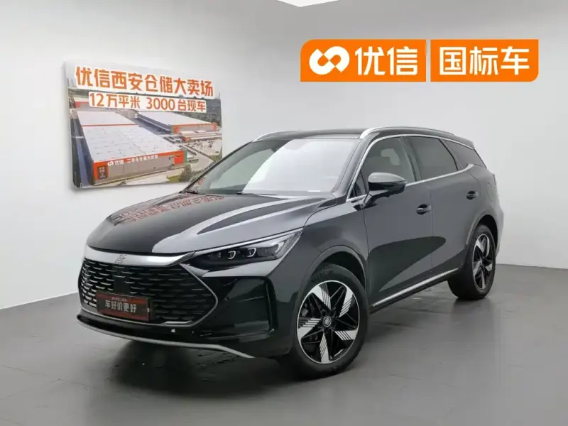 BYD Tang New Energy, 2024