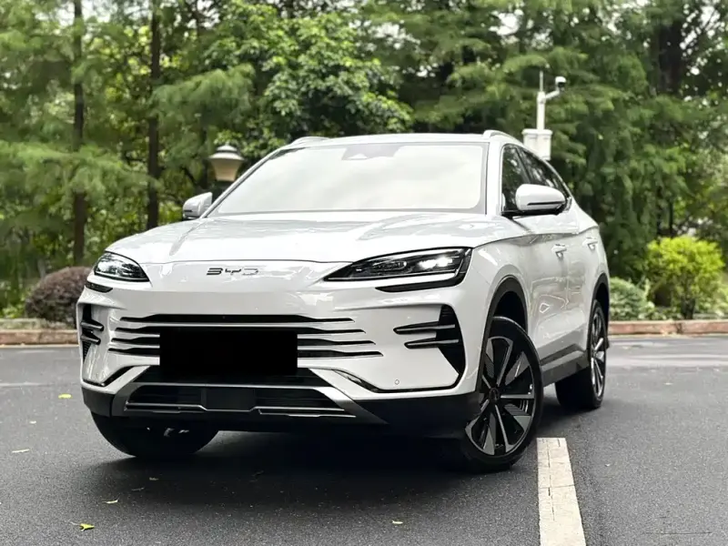 BYD PLUS New Energy, 2024