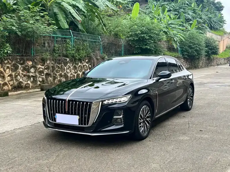 Hongqi H5, 2024