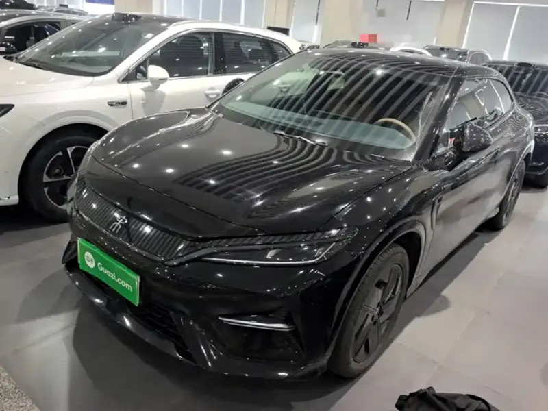 BYD L EV, 2024