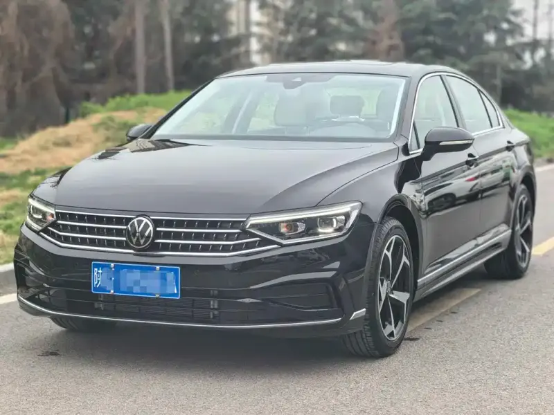 Volkswagen Magotan, 2024