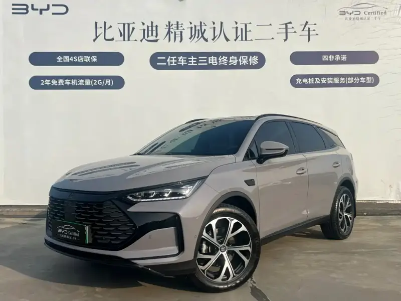 BYD Tang New Energy, 2025