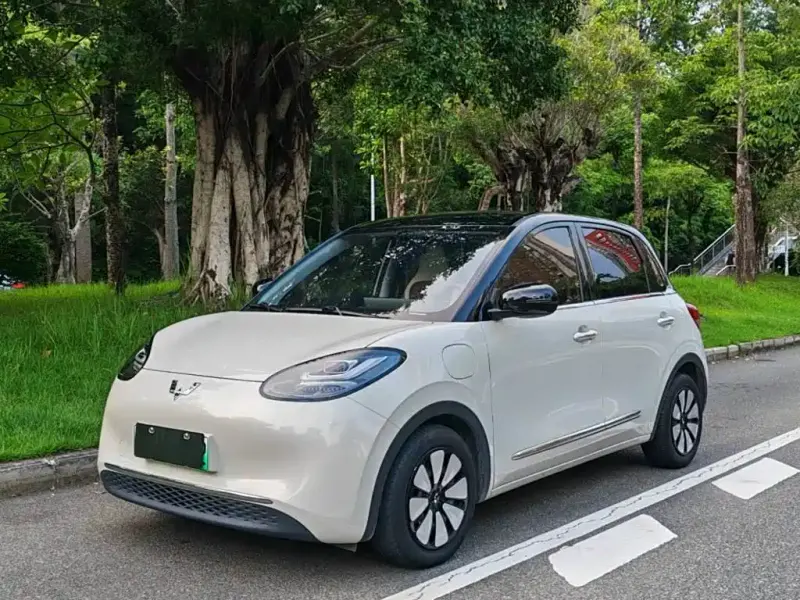 Wuling Bingo, 2024