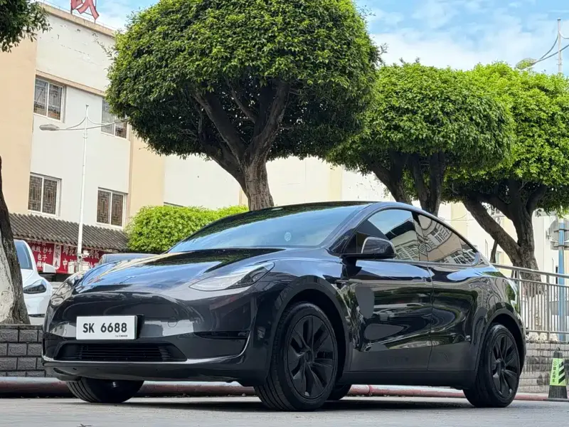 Tesla Model Y, 2024