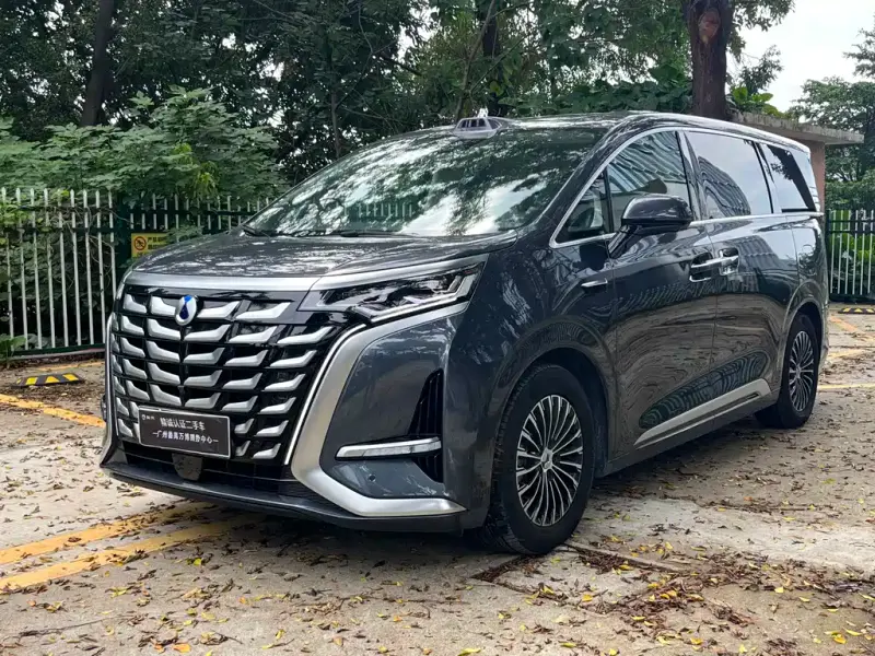 Denza D9, 2025