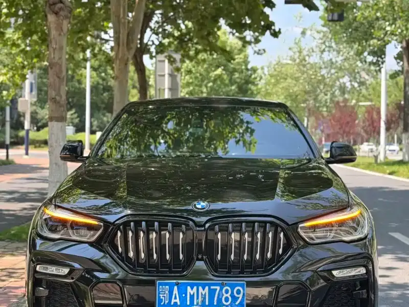 BMW X6, 2022