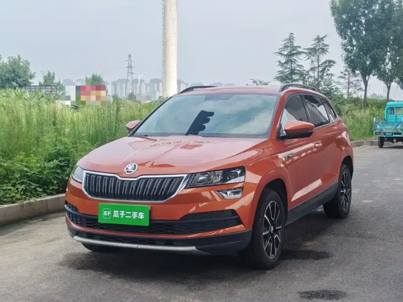 Skoda Karoq, 2019
