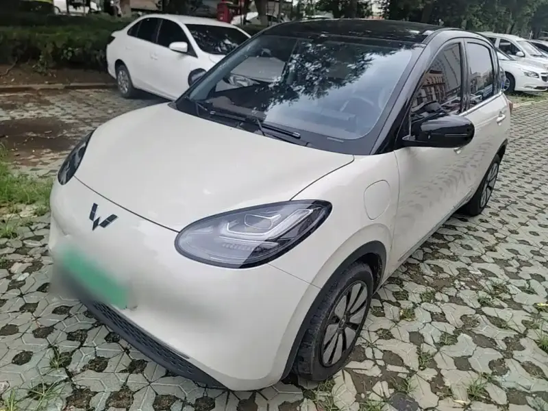 Wuling Bingo, 2024