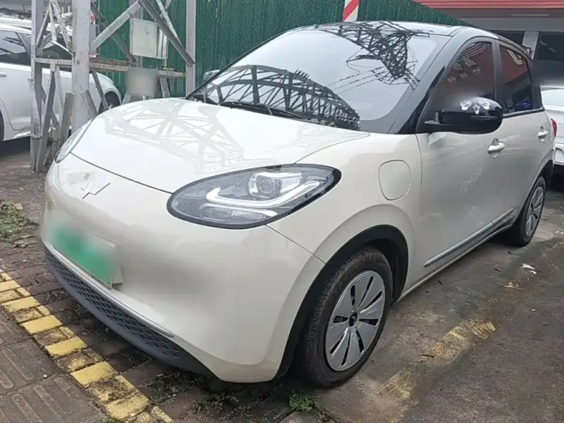 Wuling Bingo, 2024