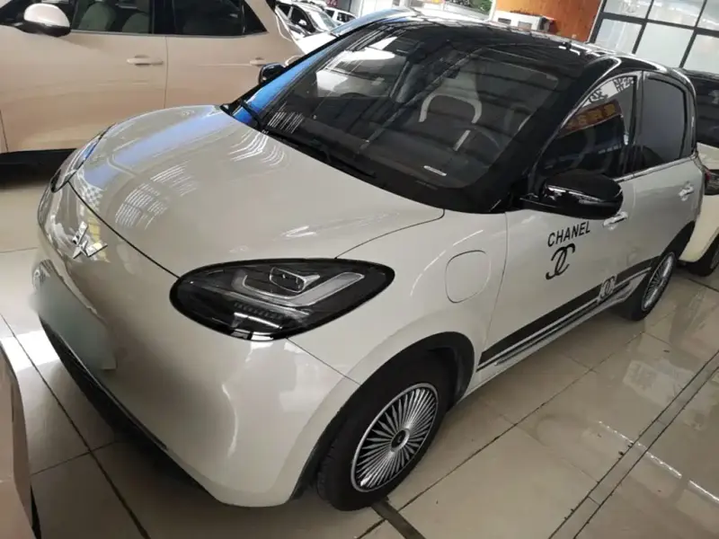Wuling Bingo, 2023
