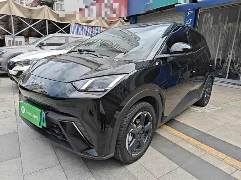 BYD Seagull, 2023