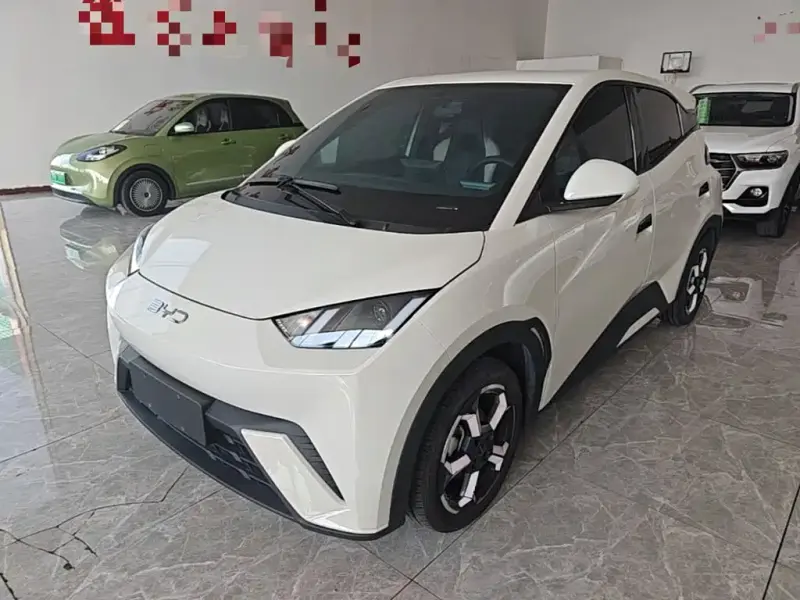 BYD Seagull, 2024