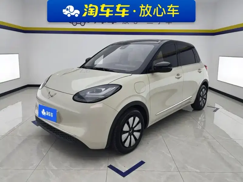 Wuling Bingo, 2024