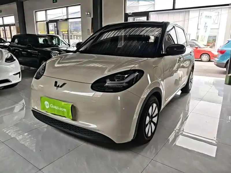 Wuling Bingo, 2024