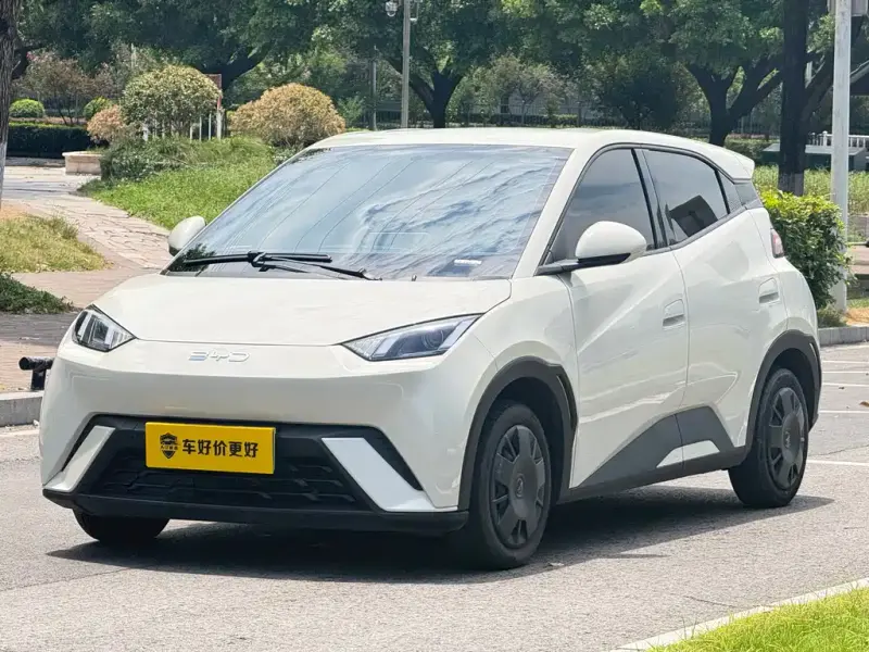 BYD Seagull, 2024