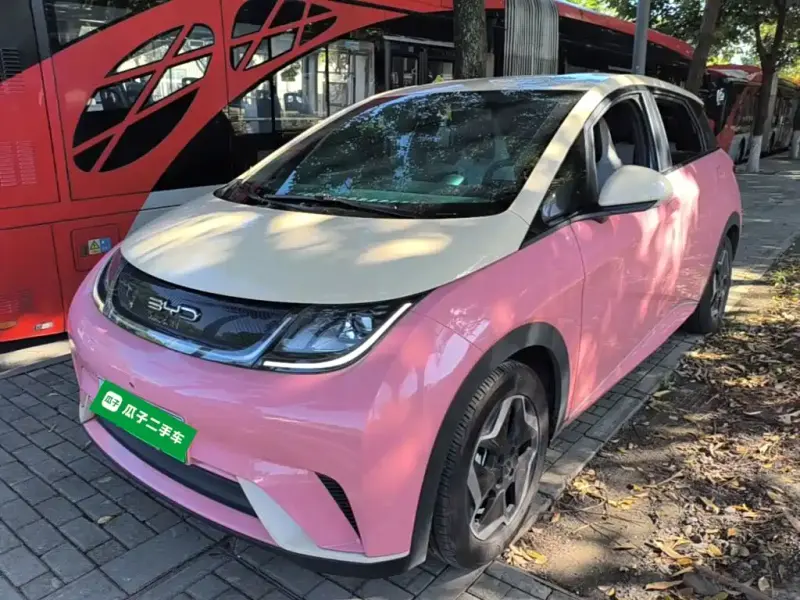 BYD Dolphin, 2021