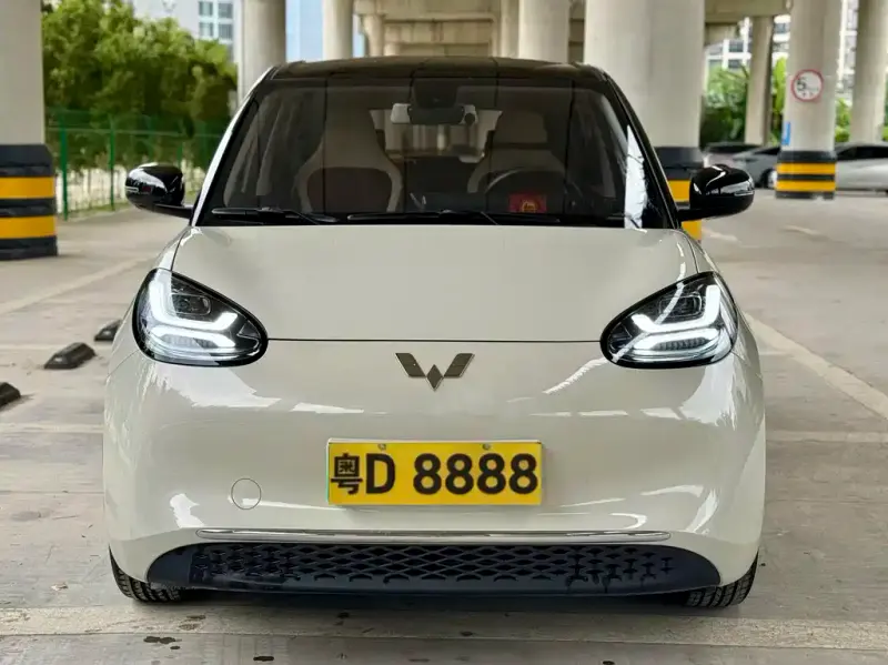 Wuling Bingo, 2024