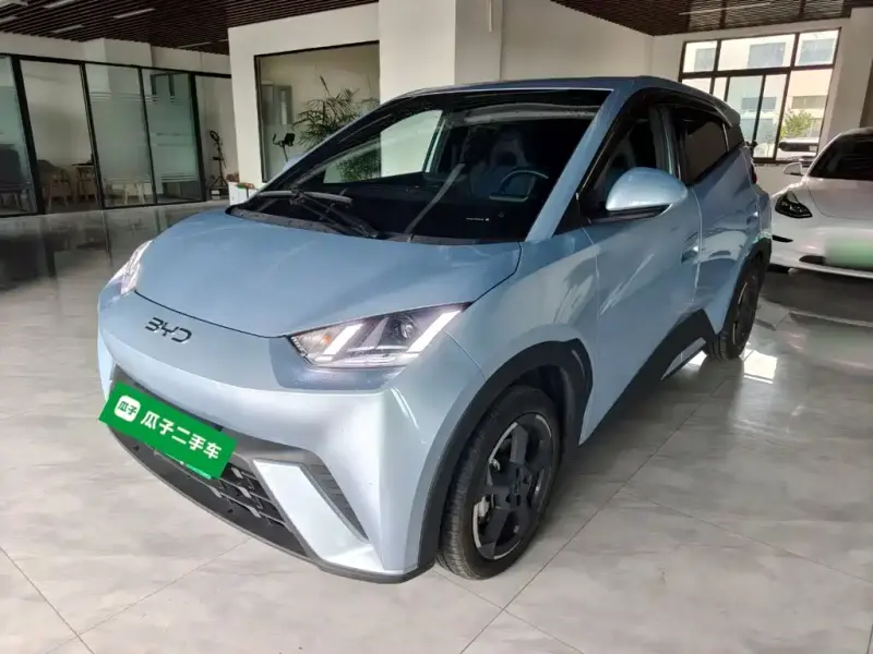 BYD Seagull, 2024
