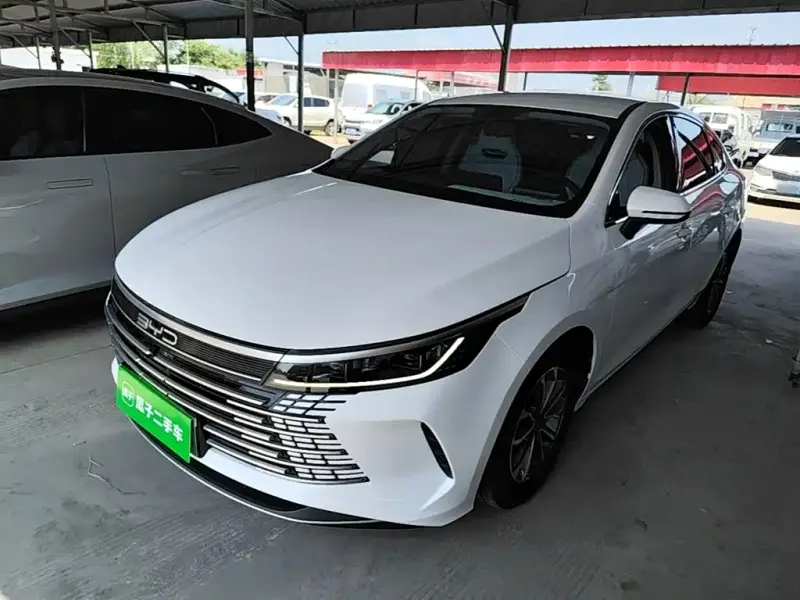 BYD Destroyer 05, 2024