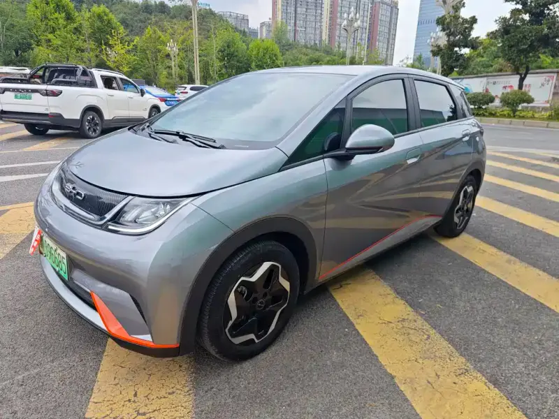 BYD Dolphin, 2022