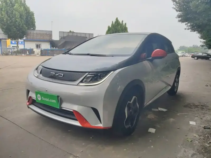 BYD Dolphin, 2022
