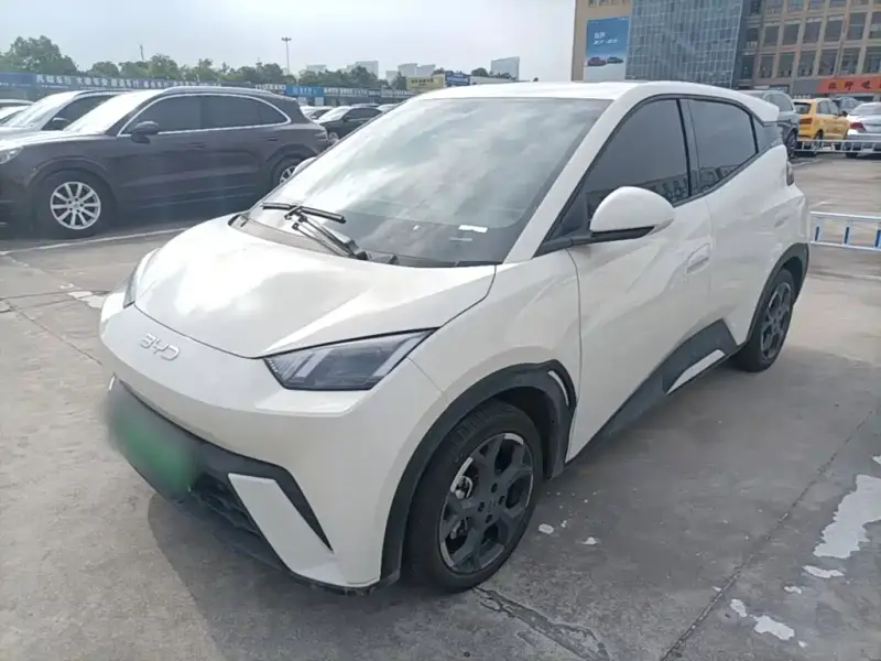 BYD Seagull, 2025