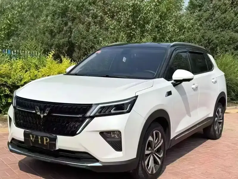 Wuling Xingchen, 2022
