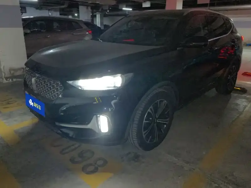 Wey VV6, 2020