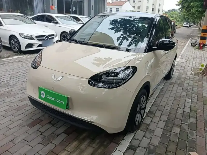 Wuling Bingo, 2025