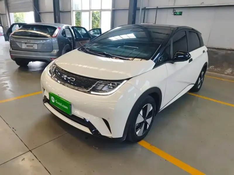 BYD Dolphin, 2023
