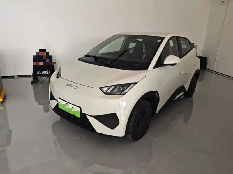 BYD Seagull, 2026