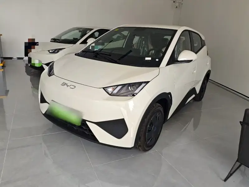 BYD Seagull, 2026