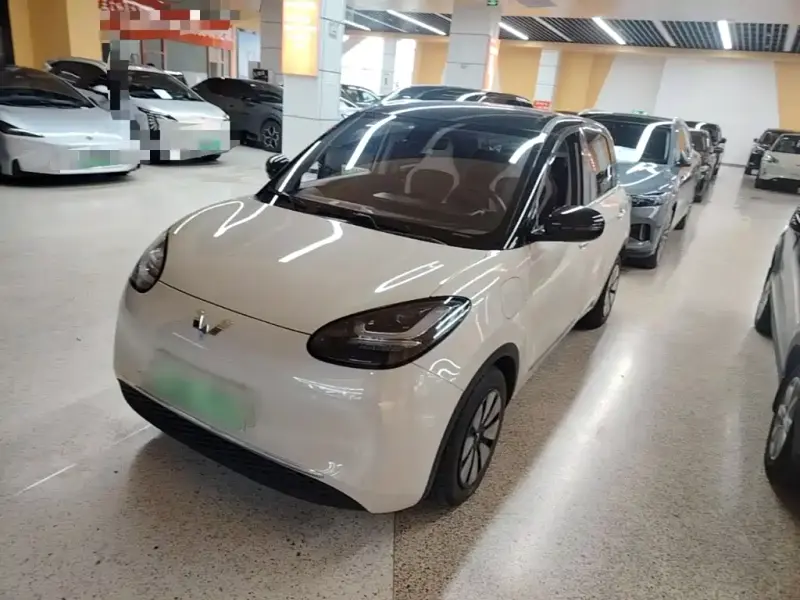 Wuling Bingo, 2024