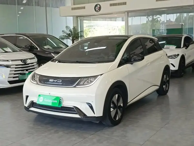 BYD Dolphin, 2023