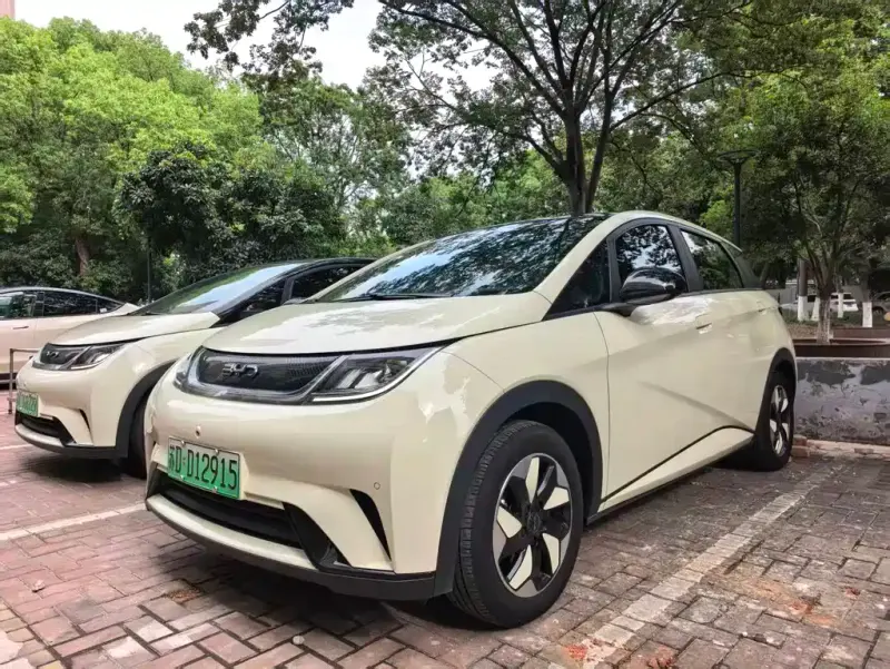 BYD Dolphin, 2024