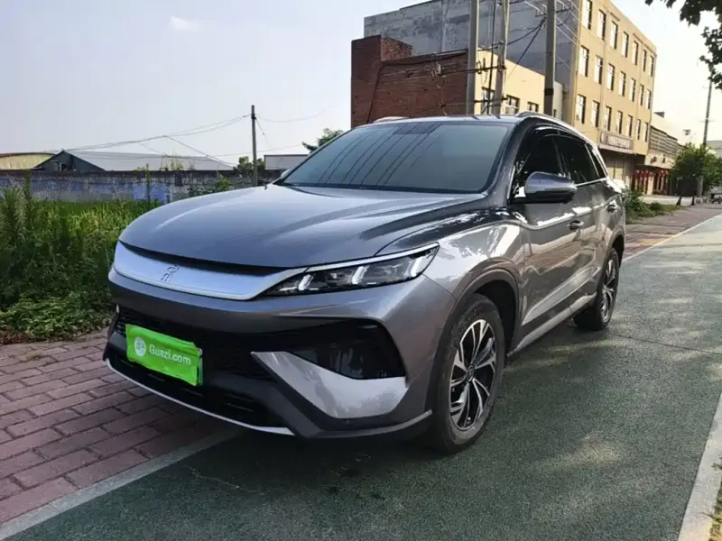 BYD Pro New Energy, 2024