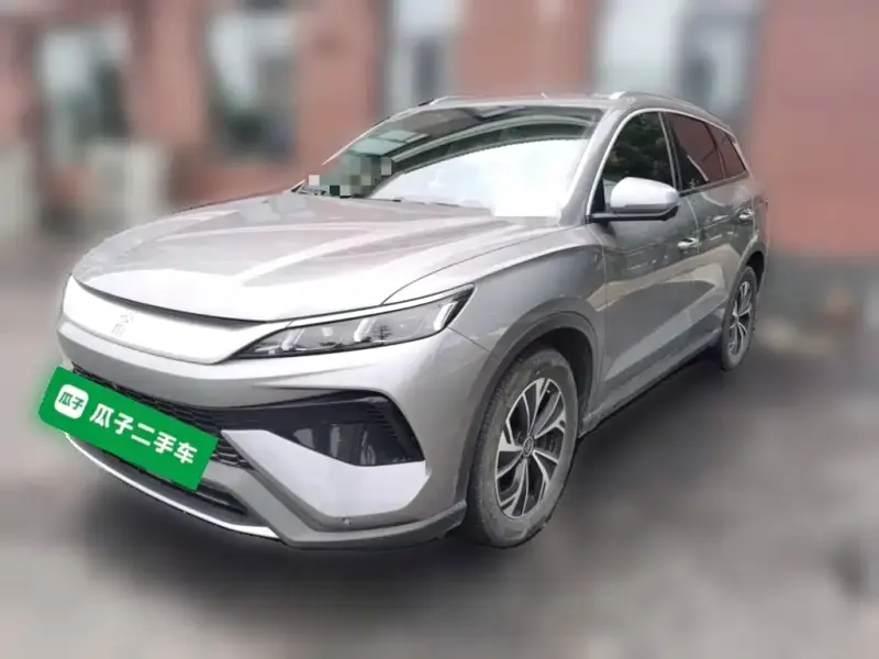 BYD Pro New Energy, 2025