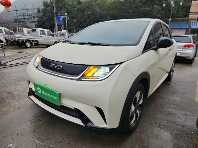 BYD Dolphin, 2025