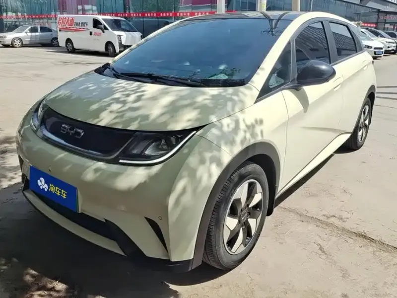 BYD Dolphin, 2024