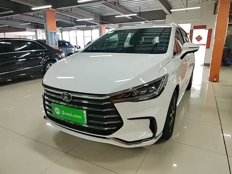 BYD MAX New Energy, 2023