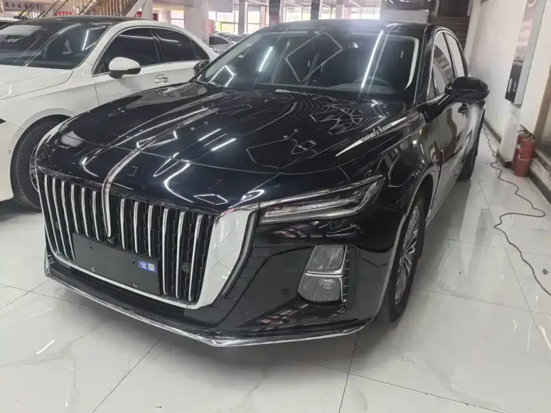 Hongqi H5, 2024