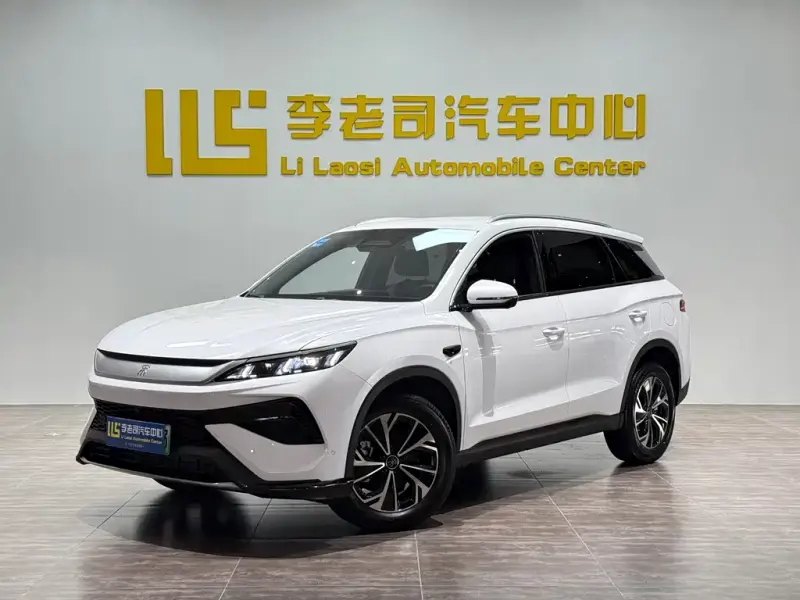 BYD Pro New Energy, 2025
