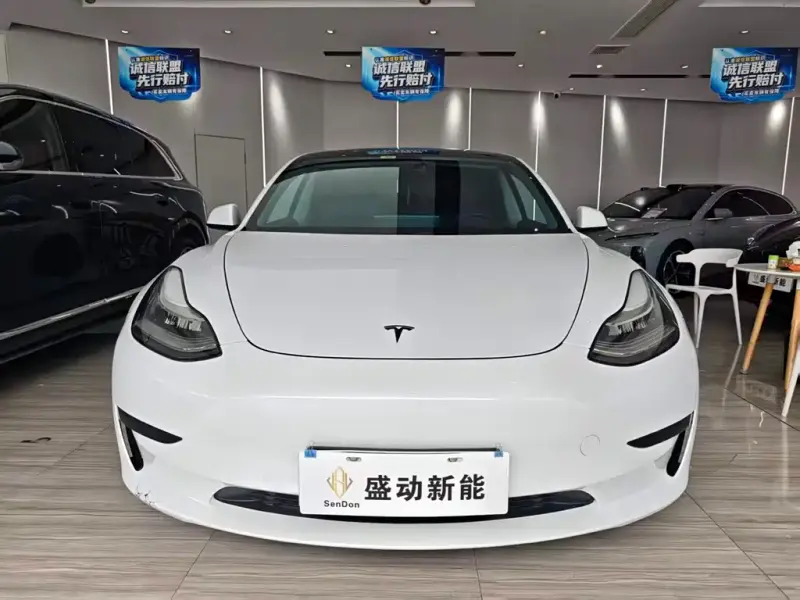 Tesla Model 3, 2020