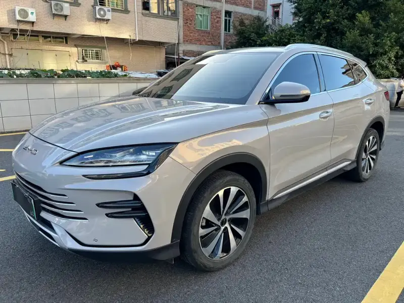BYD PLUS New Energy, 2024