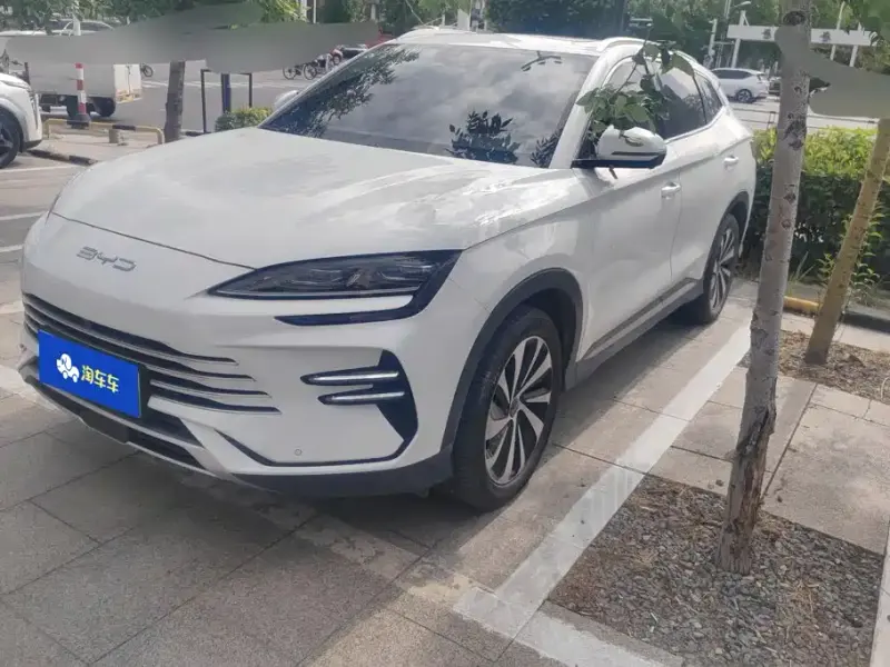 BYD PLUS New Energy, 2024