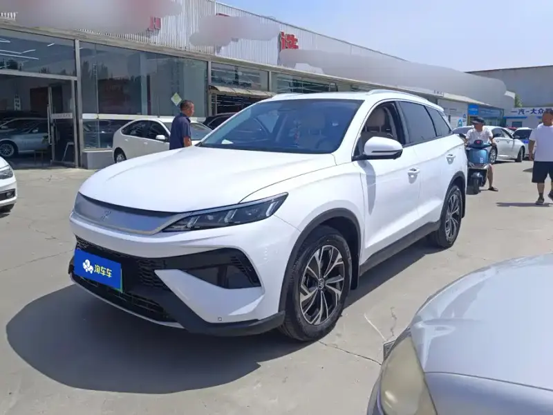 BYD Pro New Energy, 2025