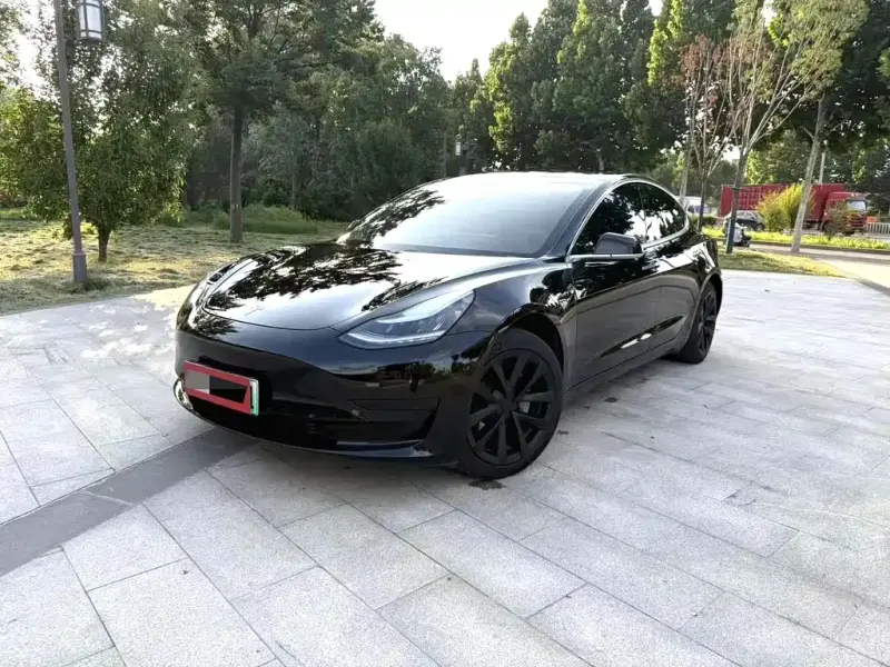 Tesla Model 3, 2020