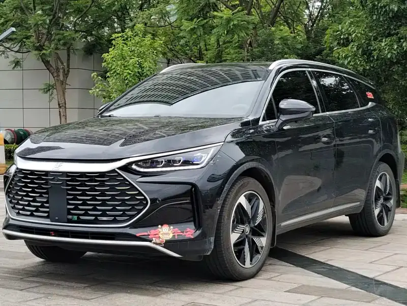 BYD Tang New Energy, 2024