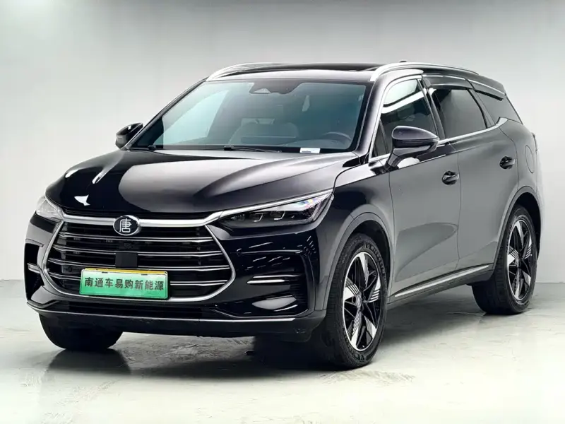 BYD Tang New Energy, 2023